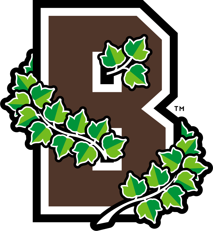Brown Bears 2013-2018 Secondary Logo iron on transfers for clothing